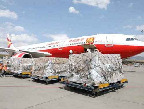 东南亚国际货运佼佼者